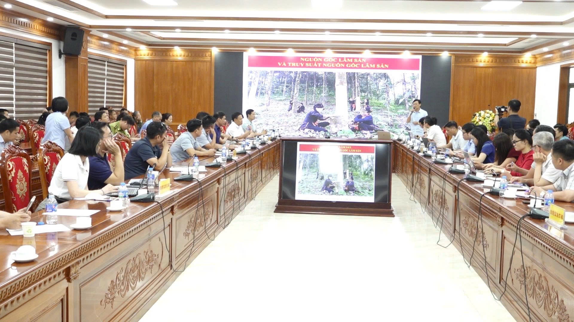 Presentation on the origin and traceability of forest products