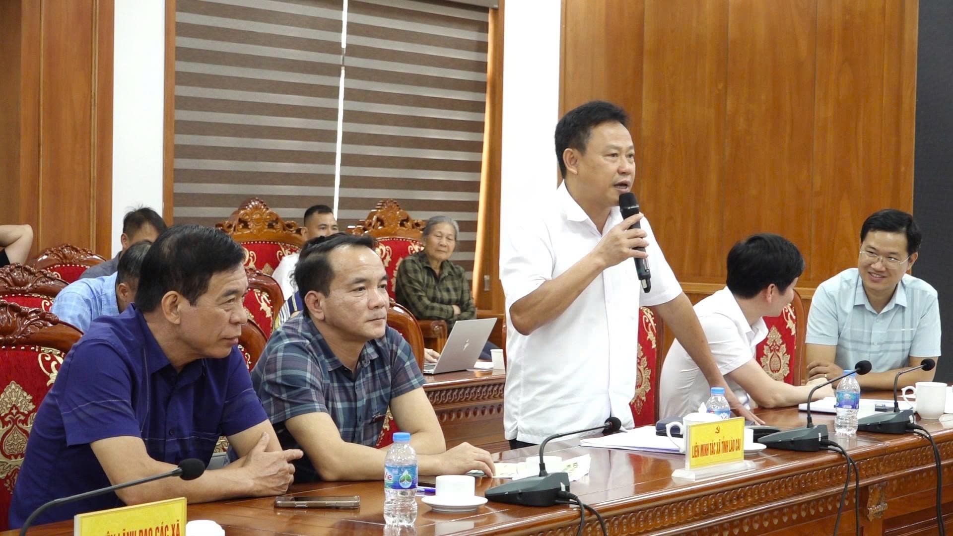 A representative of the Lao Cai Cooperative Alliance speaking