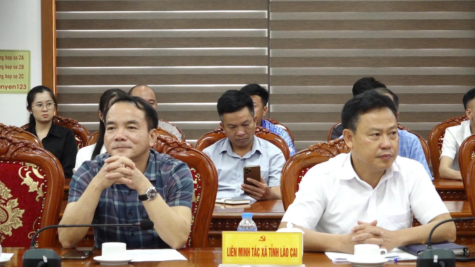 Delegate from the Lao Cai Cooperative Alliance at the conference